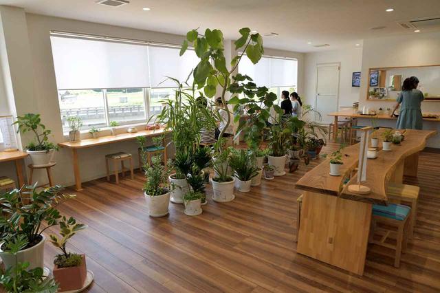 画像2: 最初の目的地「tamaki niime」に到着!野菜のみを使った体に優しいおばんざいでランチ。