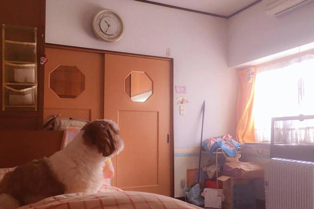 画像: 家族の誰よりも日当たりのいい位置にある、わたしの部屋。10年前から時間が止まっている