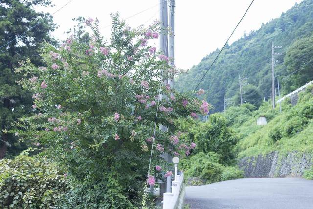 画像3: まずはおいしい湧き水を調達!