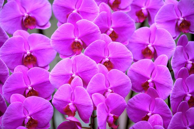 画像3: iStock