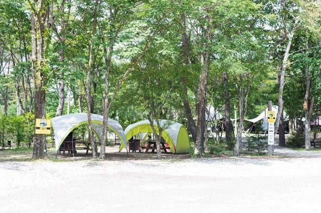 画像7: 軽井沢で1泊2日の常設テント泊!