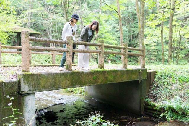 画像5: 気になる設備は? 場内をぐるりと一周してみた