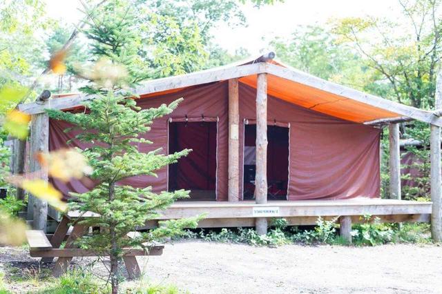 画像8: 軽井沢で1泊2日の常設テント泊!