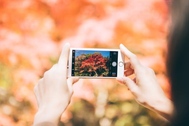 画像: スマートフォンで写真を楽しもう!