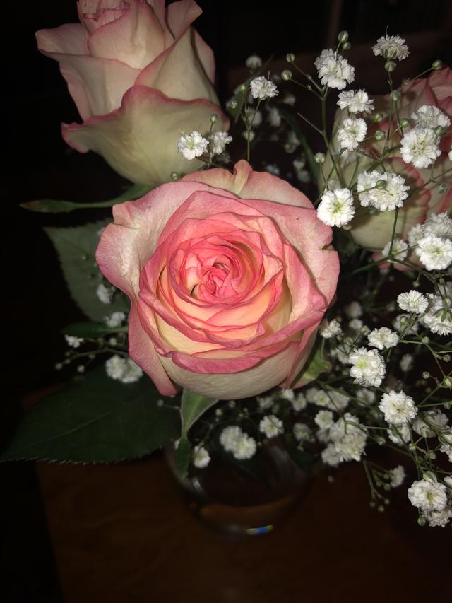 画像: お花にフラッシュが当たって、花が浮き上がって見えます。