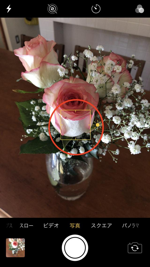 画像: 花びらの白い部分をタッチすると、全体的に画面が暗くなりました。
