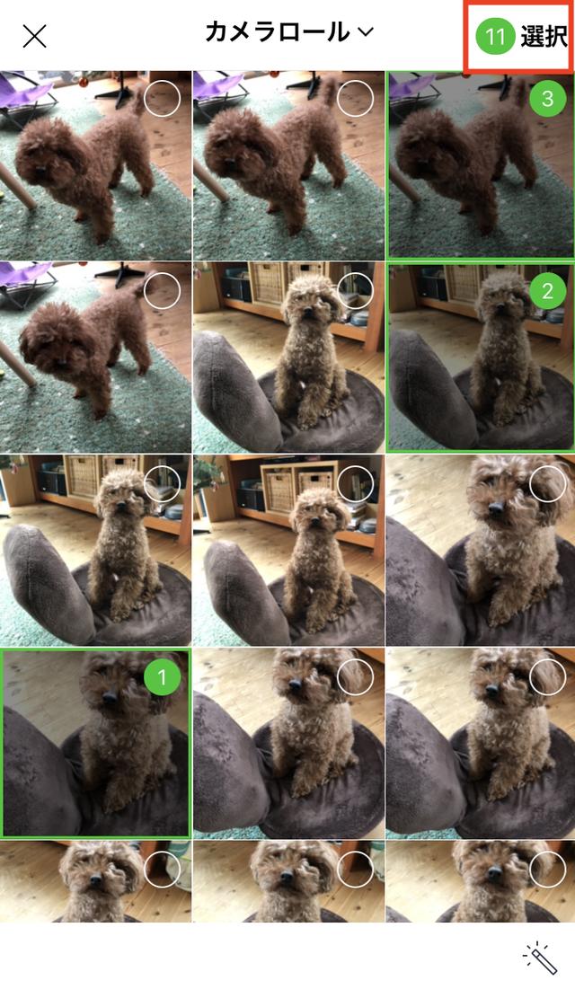 画像: iPhoneに保存されている写真が表示されるので、アルバムに入れたいもの、複数枚を指でタッチして選択します。選択が終わったら、右上の「選択」をタッチ。