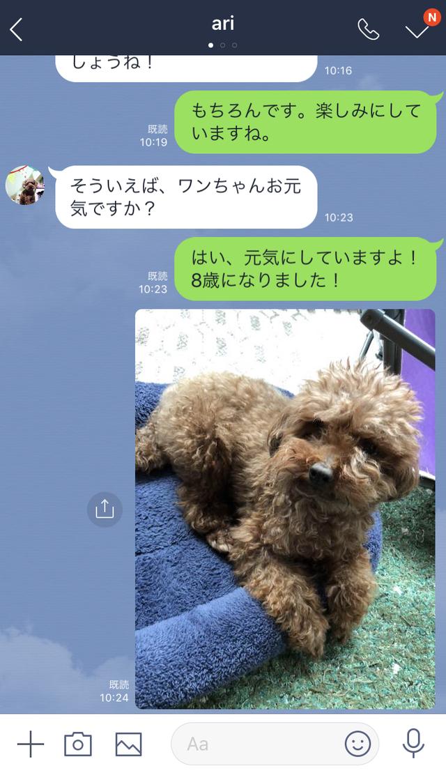 画像: 送信した写真は、このように表示されます。