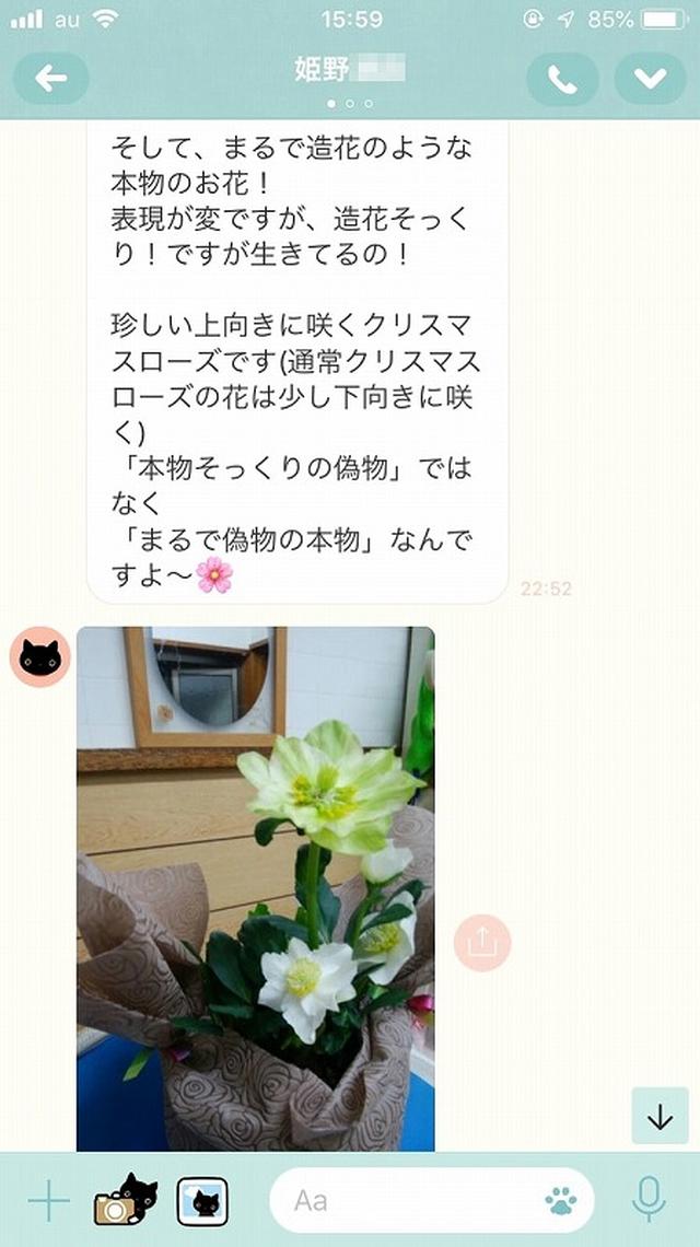 画像3: お母さんに「ありがとう」とLINEしてみた。姫野桂