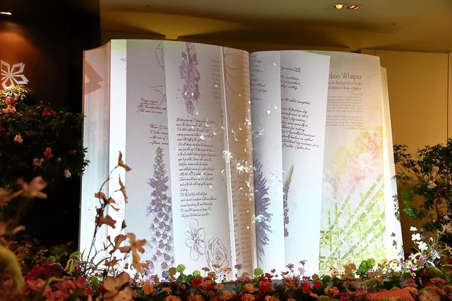 画像2: BIG BOOK