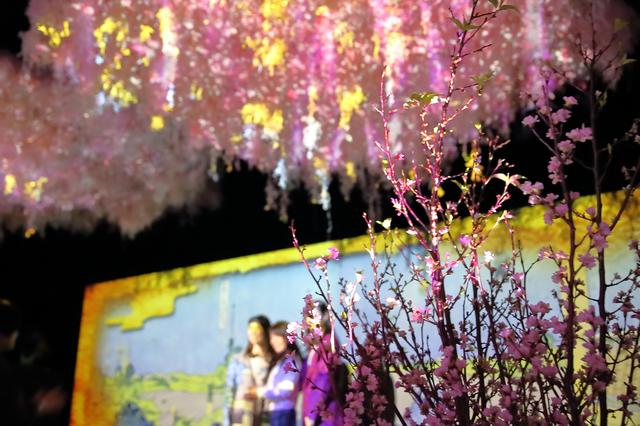 画像1: 大桜彩