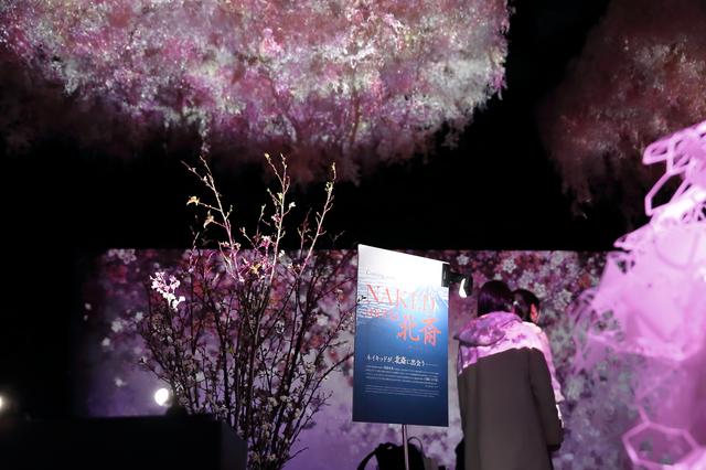 画像2: 大桜彩