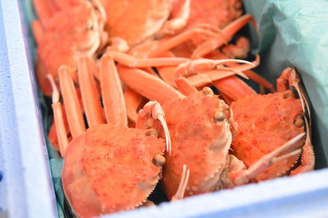 画像1: 3、荷物にならず、喜ばれる!便利な産地直送