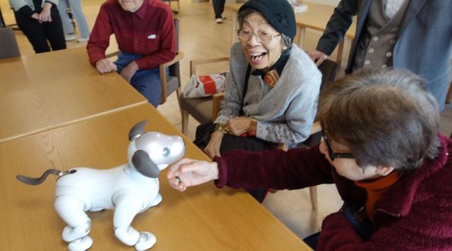 画像: 有料老人ホームに新型「aibo」導入/ソニー・ライフケア