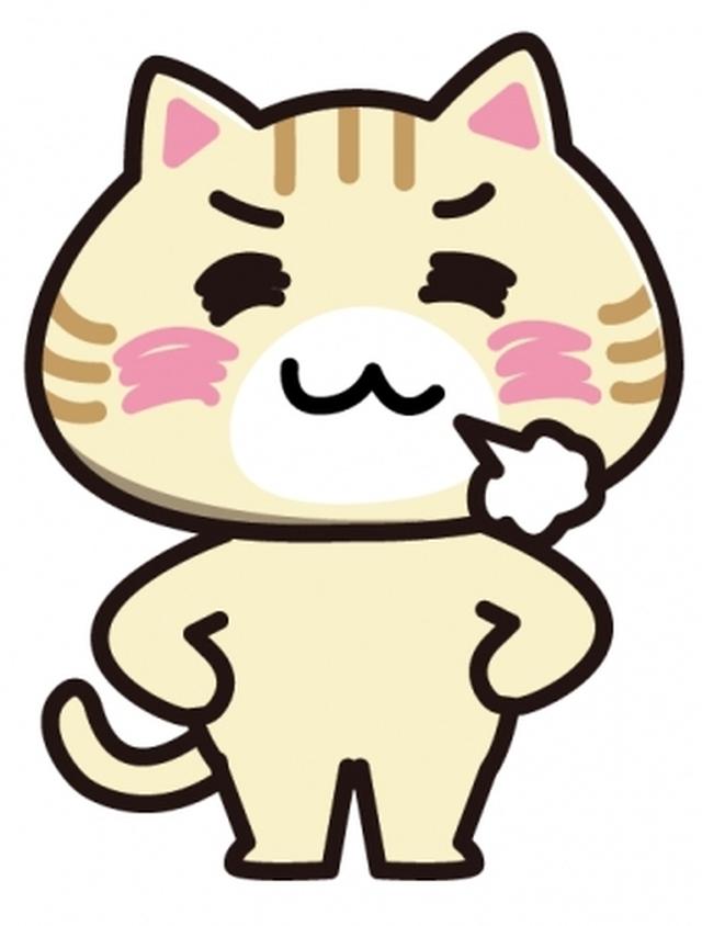 画像: こんぶ(♂・2才)
