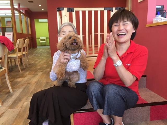 画像: 愛犬と通えるデイサービス「わおん」について