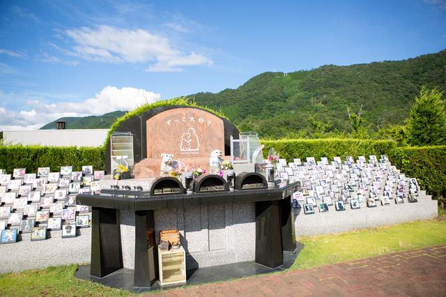 画像: 霊園ではペットのお墓だけでなく、飼い主とペットが一緒に入れるお墓も提供している