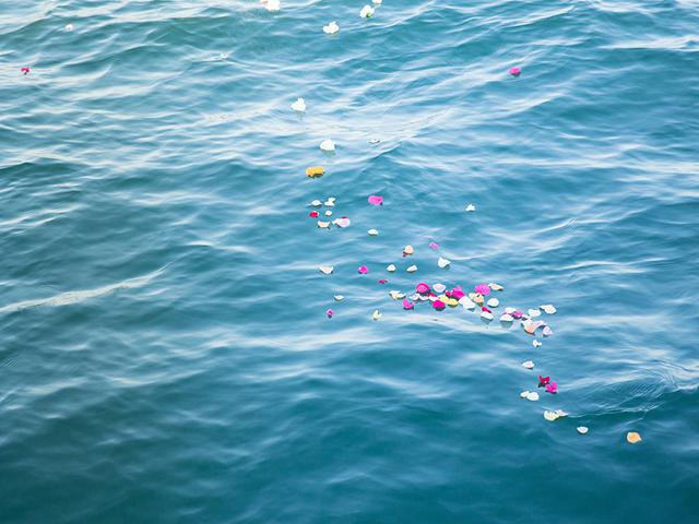 画像: お骨とともに、色とりどりの花びらを海へ。