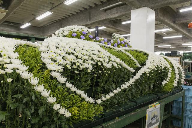 画像1: トップインタビューvol.15 株式会社ユー花園 代表取締役社長 山田大平氏