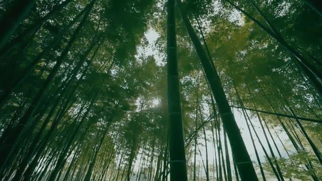 画像1: Enduro21.comも認めるハイクオリティー