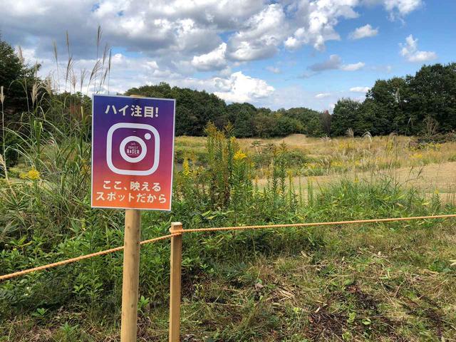 画像3: コースの走りごたえもあり、経験者でも楽しめる