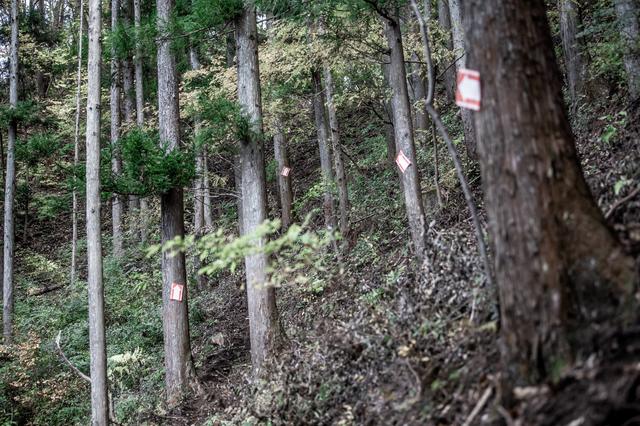 画像3: 超ハード、G-NETの歴史上でも3番目に難しい