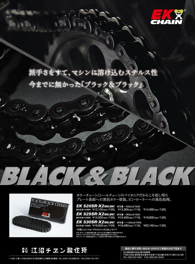 天然【黒竹（根付き）】❗ High-quality technology, beautiful products, and an attitude