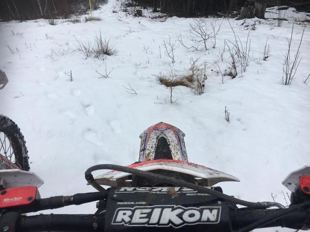画像2: イタリア北部でバイクに乗っています