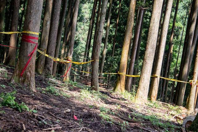 画像5: モトクロスコースから林間コースまで幅広く楽しめる