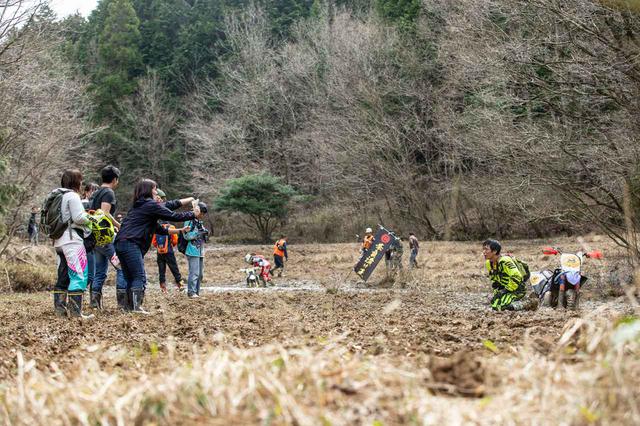 画像2: 注目! 奈良トラ2020が今年もSNSで話題沸騰