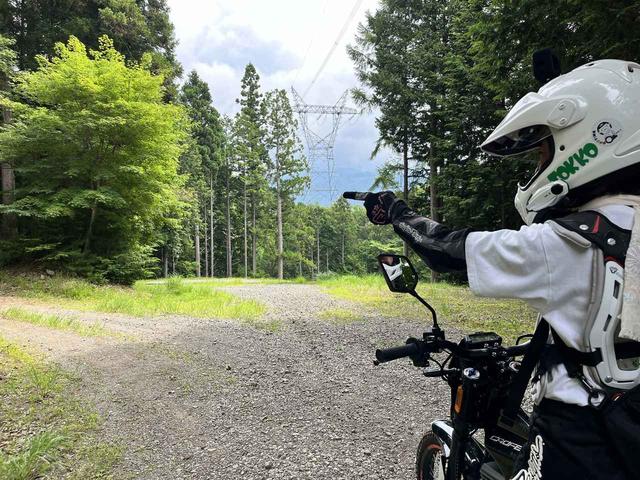 ミライ・リンドウ vol.02「長野県 林道東山田線～林道青木沢線