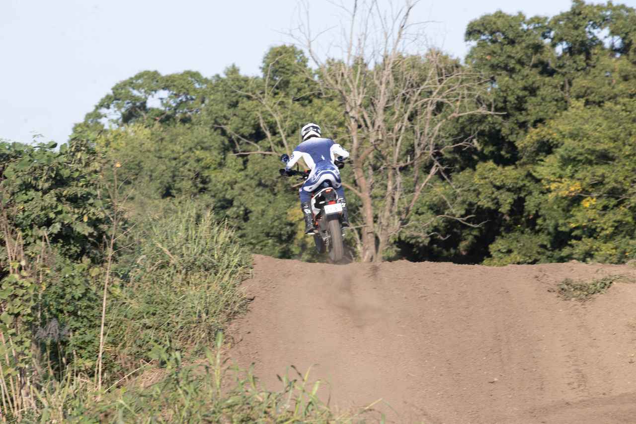 画像: ぴょーんと飛び出す勇気はなかなか沸いてこなかった