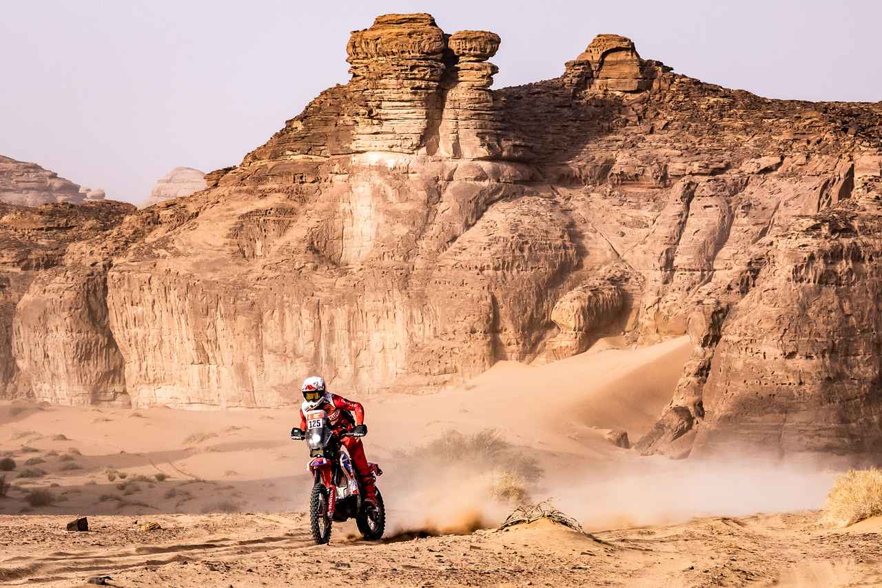 画像: サバイバルを生き残った藤原慎也