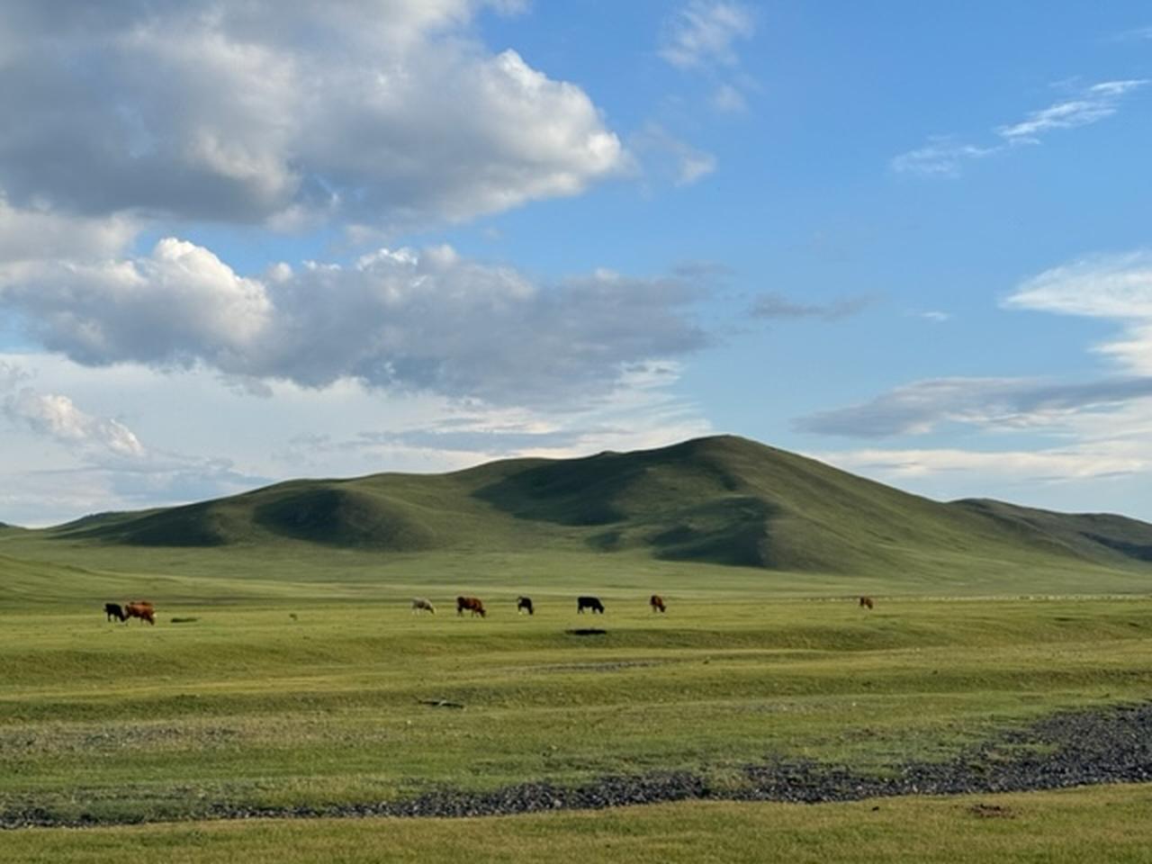 画像: こんな草原の風景は地球に残された最後の楽園?ではないだろうか