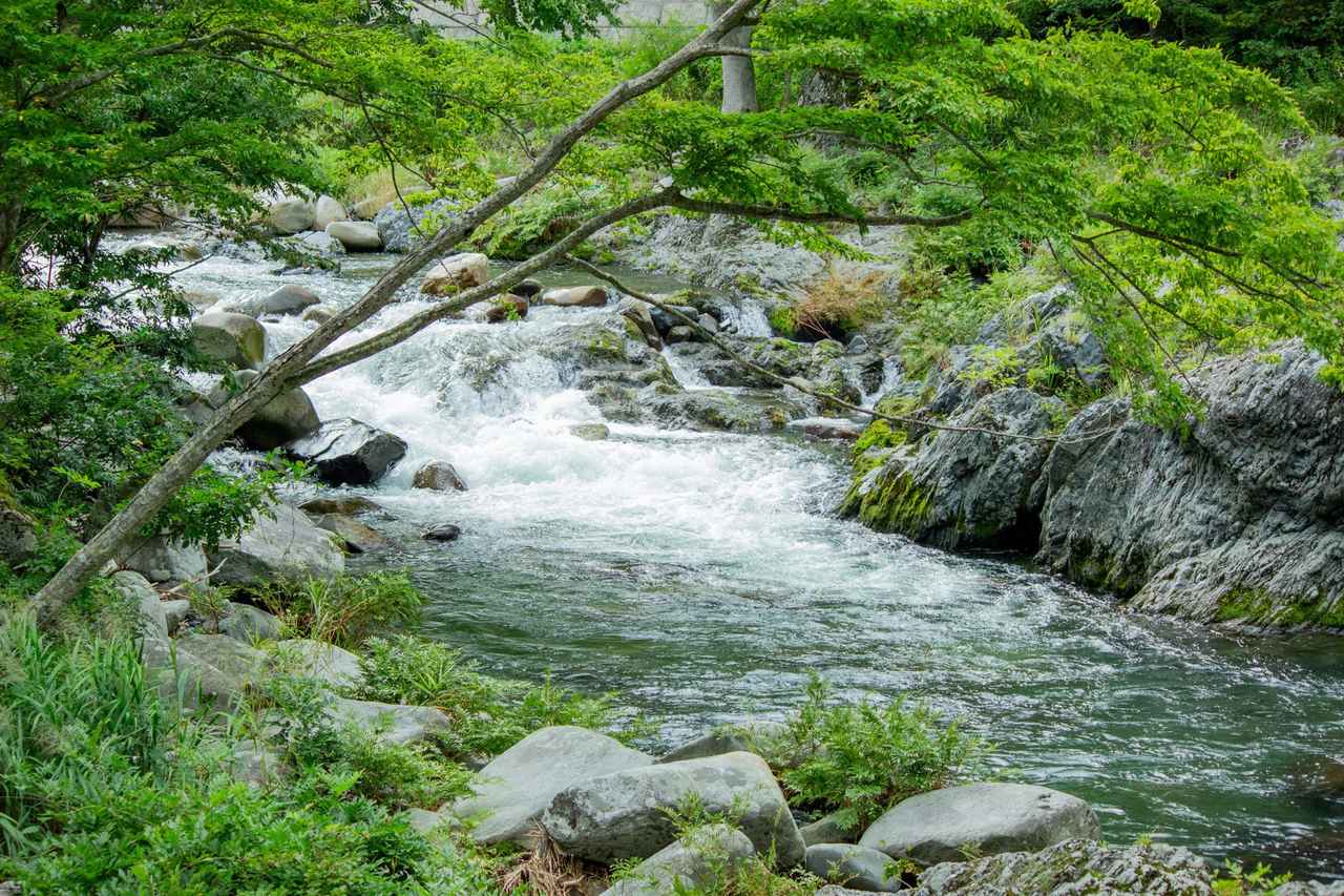 画像: 林道脇の渓流。釣り人としてはどうしても目がいってしまう