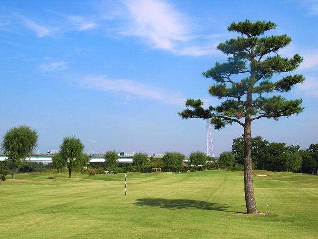 画像: 船で渡るとリンクスが広がる、川越グリーンクロス