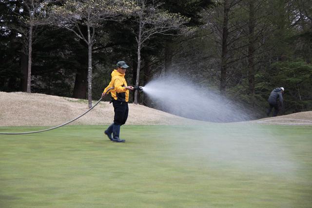 画像: 散水はほぼ手散水のみ。アプリケーター付きホースで