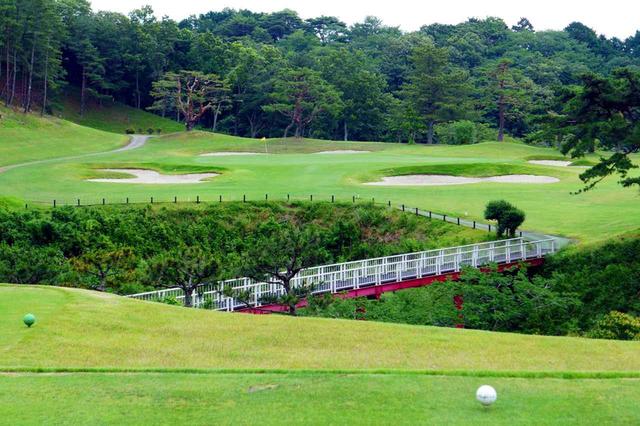画像: 裾野コース6番(183Y・P3)谷越えでグリーン四方をバンカーがガード