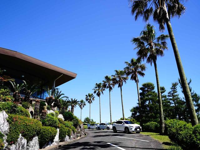 画像: 南国情緒漂うクラブハウス周り