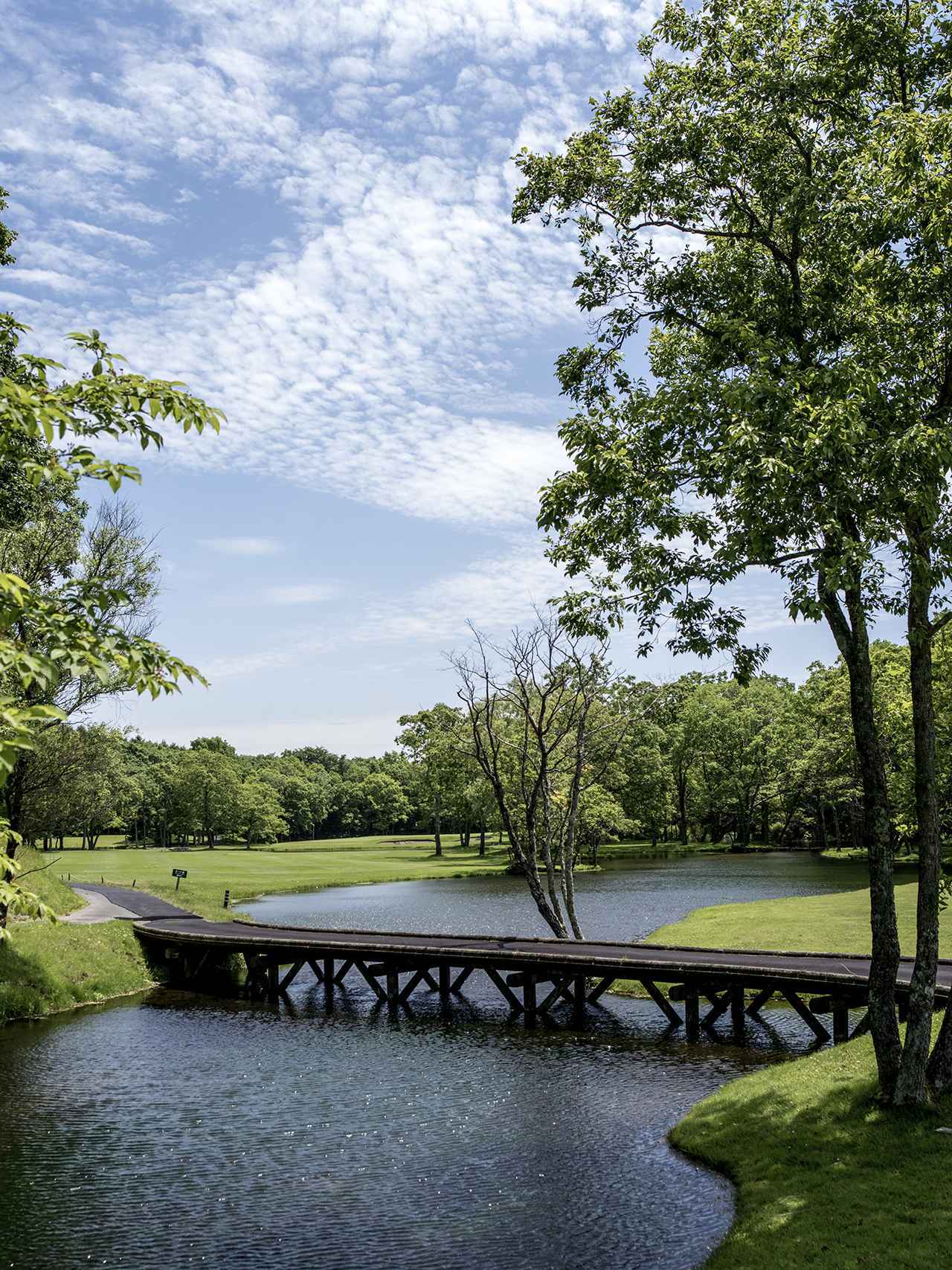 画像2: ニドムクラシックコース