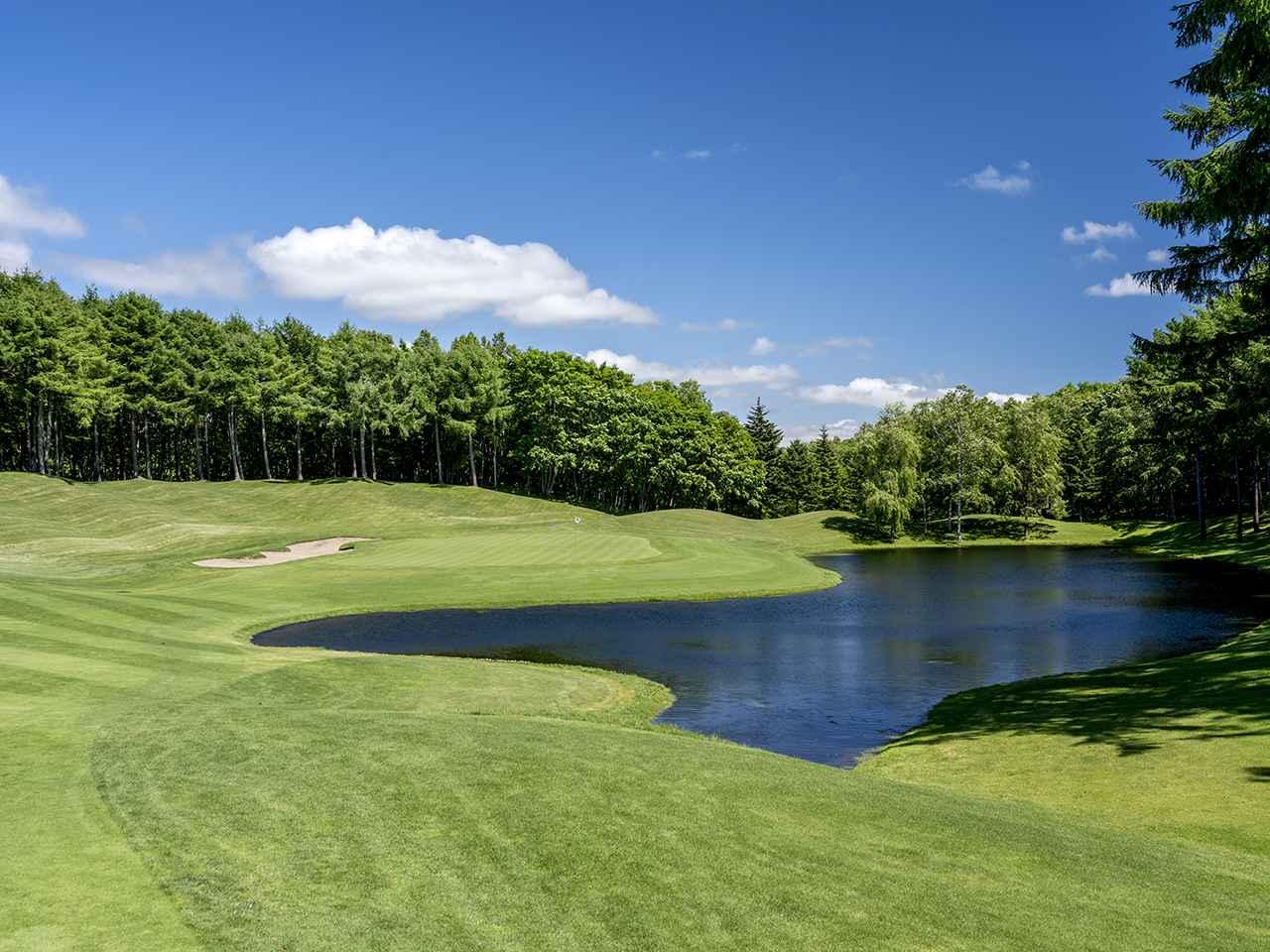 画像1: ニドムクラシックコース