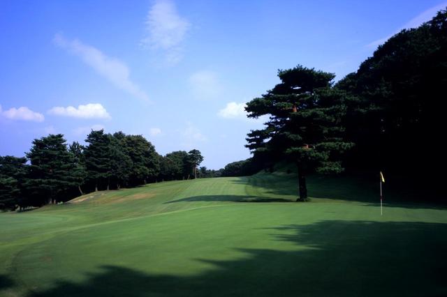 画像1: 高坂CC