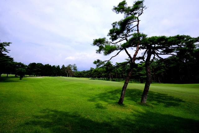 画像2: 日光CC