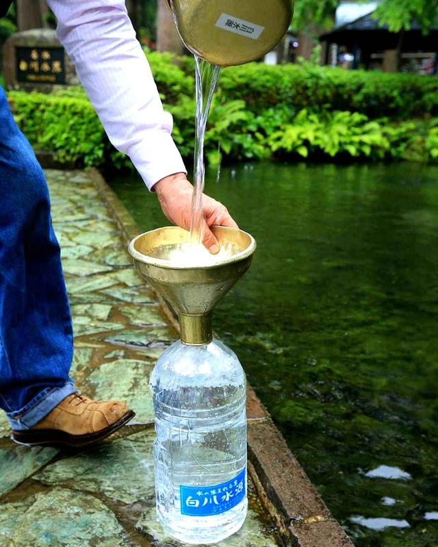 画像: 市内にも多くの湧水の水源がある