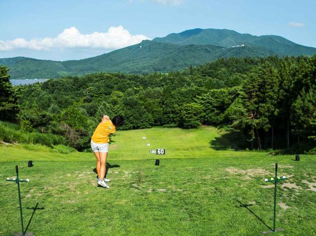 画像: 芝から直接打てる250Yのレンジは、ラウンドしなくても利用可