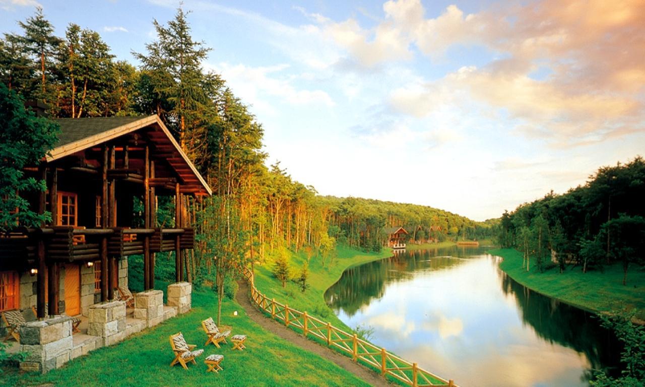 画像: 森の中に点在するニドムのロッジ