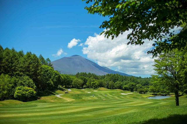 画像: ゆるやかな起伏が入った高原の18ホール