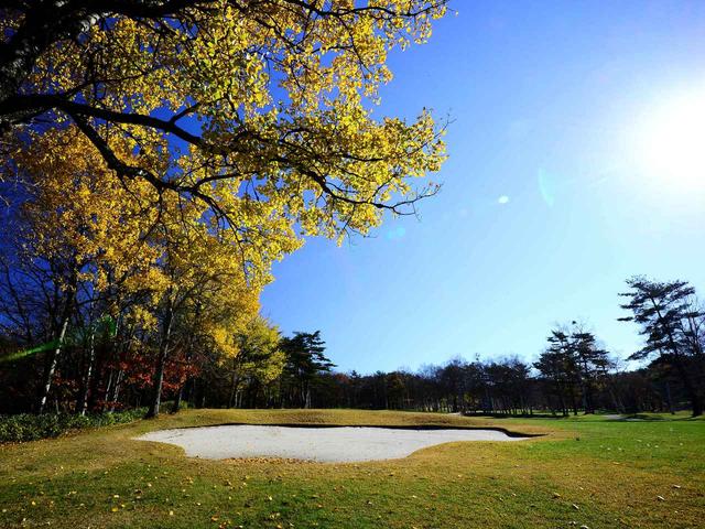 画像2: 十和田コース 2番、365Y、パー4