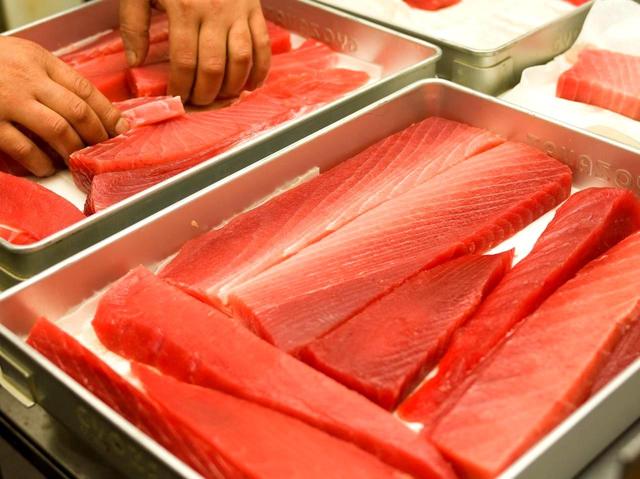 画像5: 【三崎・マグロ】マグロ問屋も太鼓判!「たち吉」の“ちぢれマグロ”の丼