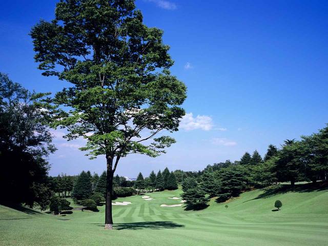 画像: 13番ホール、558ヤード、パー5